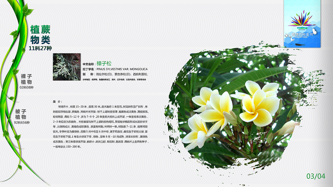 兴凯湖地质公园博物馆 固定终端APP界面设计（图ZMjY4NjQ3Njg=） - APP界面 - 站酷设计师骚首弄姿_皆艺术原创素材 - 站酷ZCOOL