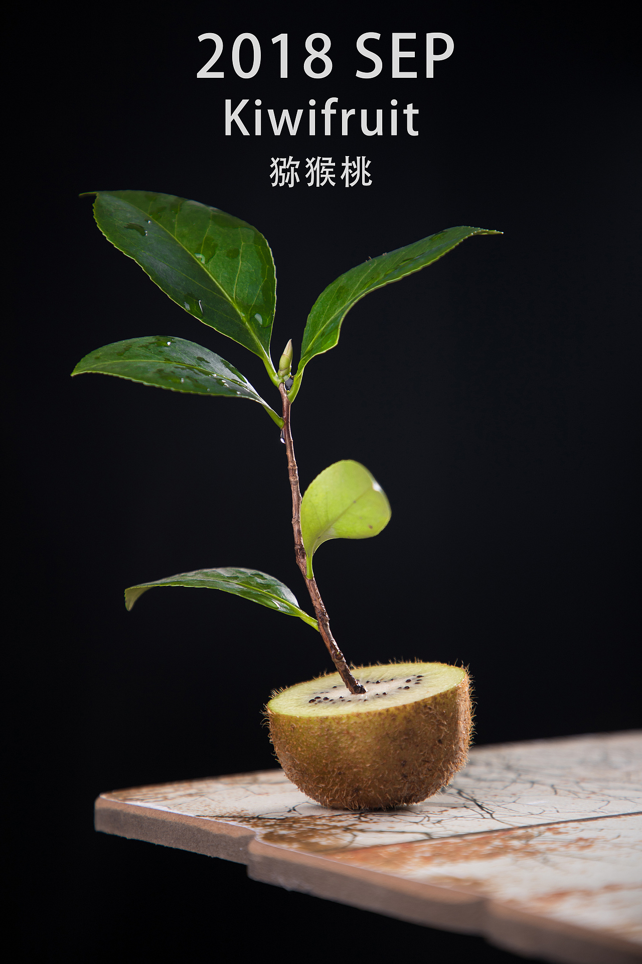 猕猴桃（图ZMTI5NjI5NDMy） - 产品摄影 - 站酷设计师视迹传媒原创素材 - 站酷ZCOOL