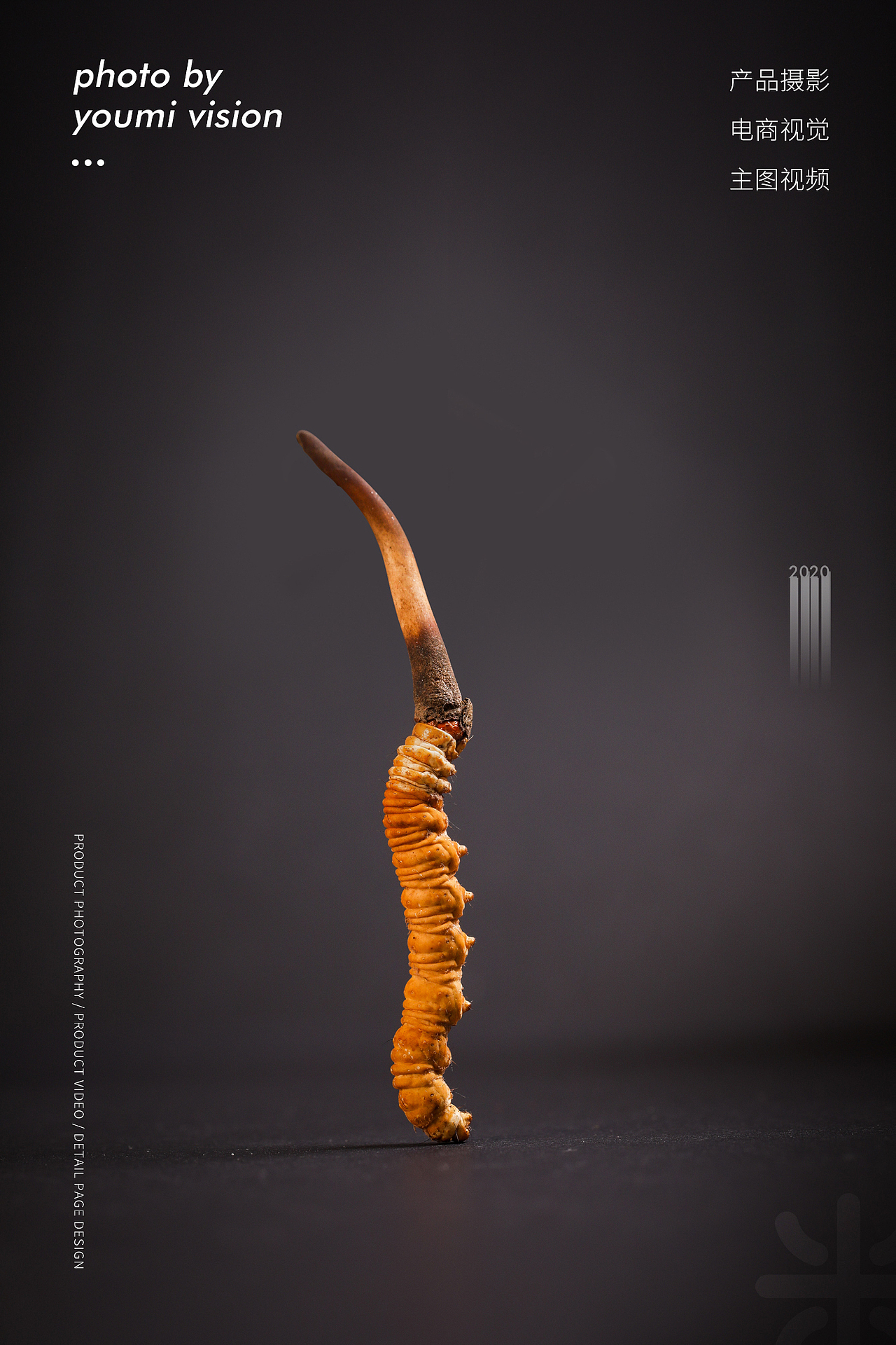 一组鲜虫草产品拍摄（图ZMjA0NDg4Nzcy） - 产品摄影 - 站酷设计师一玖视觉原创素材 - 站酷ZCOOL