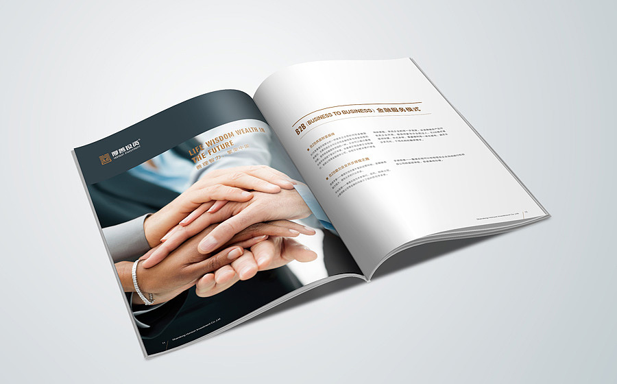 金融投资标志、LOGO、VI设计 金融投资画册设计