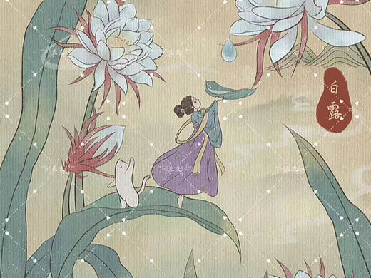 白露节气插画