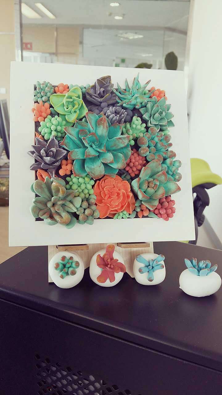 超轻黏土多肉装饰画 摆件