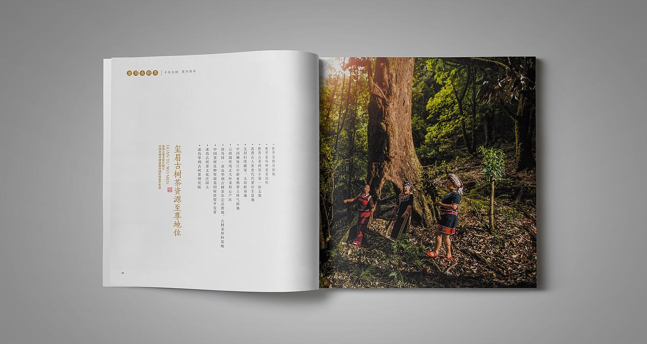 中国风云南茶古典画册（图ZMjk5MjQwMDg=） - 书籍/画册 - 站酷设计师NO香烟味原创素材 - 站酷ZCOOL