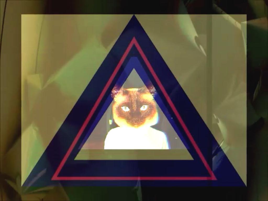 迷幻小野猫Psychedelic Wildcat（图ZMjU5MTQyODQ=） - Motion Graphic - 站酷设计师RanStudio原创素材 - 站酷ZCOOL