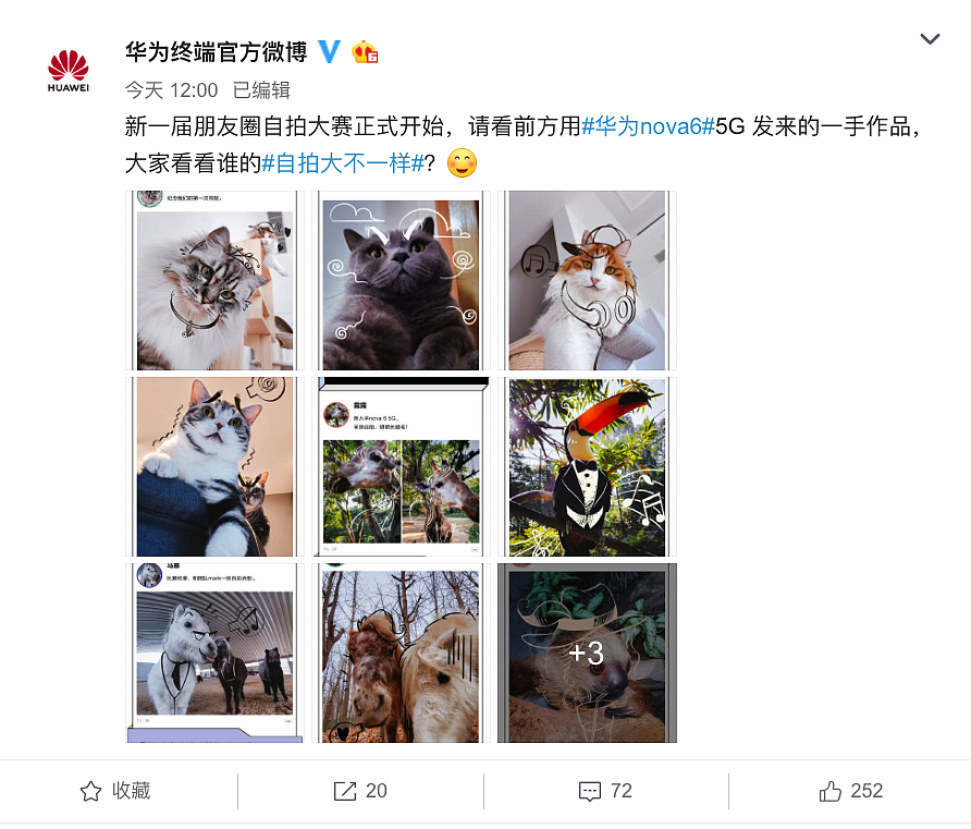 华为NOVA 6 5G萌宠自拍手机样张、插画项目