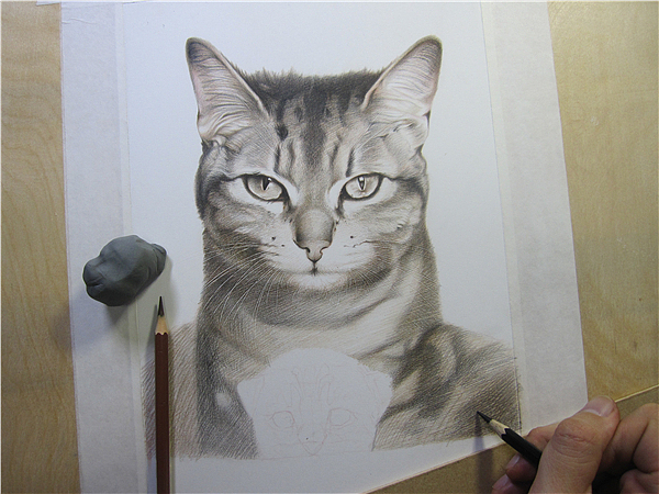 纸上彩铅--《猫爸与猫仔》纸张测试 随录