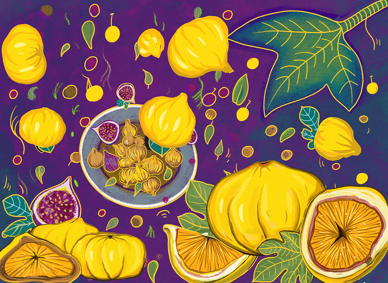 新疆特色无花果插画