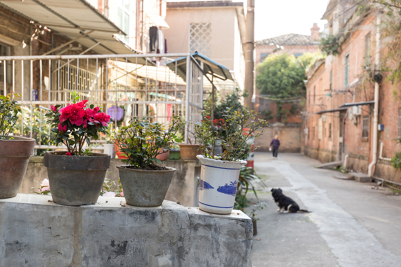 老建筑室内空间（图ZMTY4NDQ1MTQw） - 环境/建筑摄影 - 站酷设计师拾光漫漫原创素材 - 站酷ZCOOL