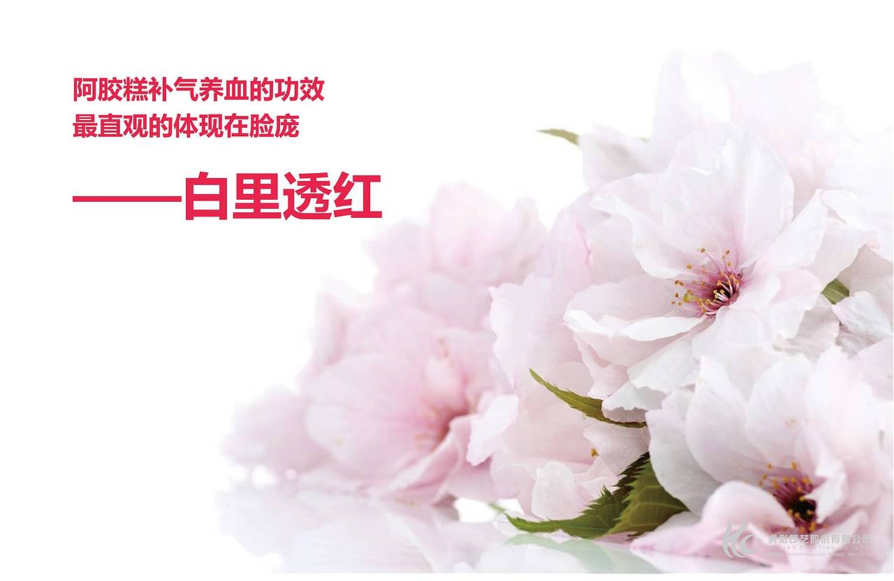 香腮雪-百年堂阿胶糕（图ZMTkzNzk1MDk2） - 品牌 - 站酷设计师勃勃设计原创素材 - 站酷ZCOOL