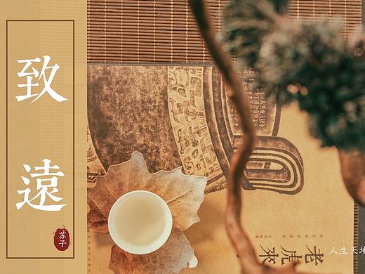 【诗画入境】远行客中国风画册模板