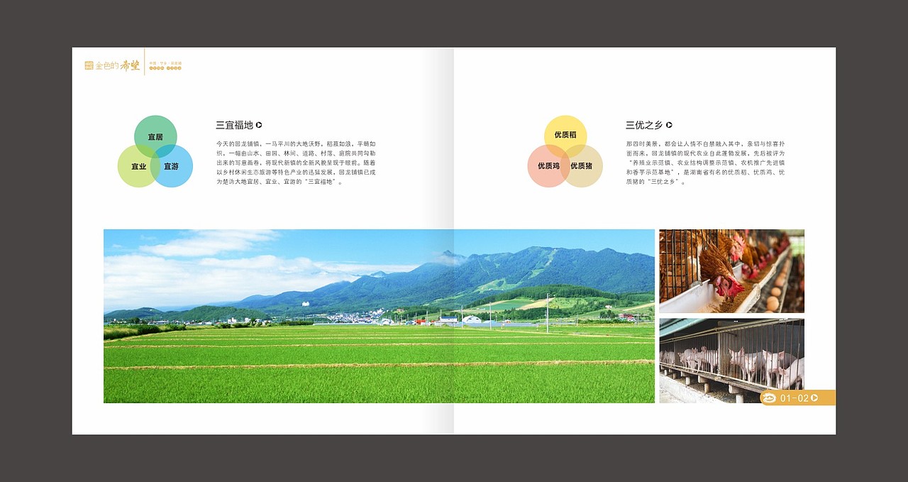 金色的希望 乡镇 画册（图ZMzYzNTc4MTI=） - 书籍/画册 - 站酷设计师fxy216ccc原创素材 - 站酷ZCOOL