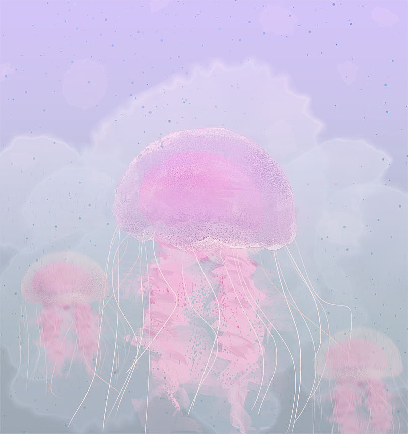 动物练习（图ZNzc3NDAzNDQ=） - 创作习作 - 站酷设计师iyie原创素材 - 站酷ZCOOL