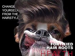 施華蔻商業(yè)海報設(shè)計