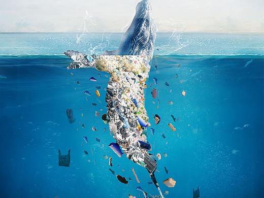 环境分类（临摹）