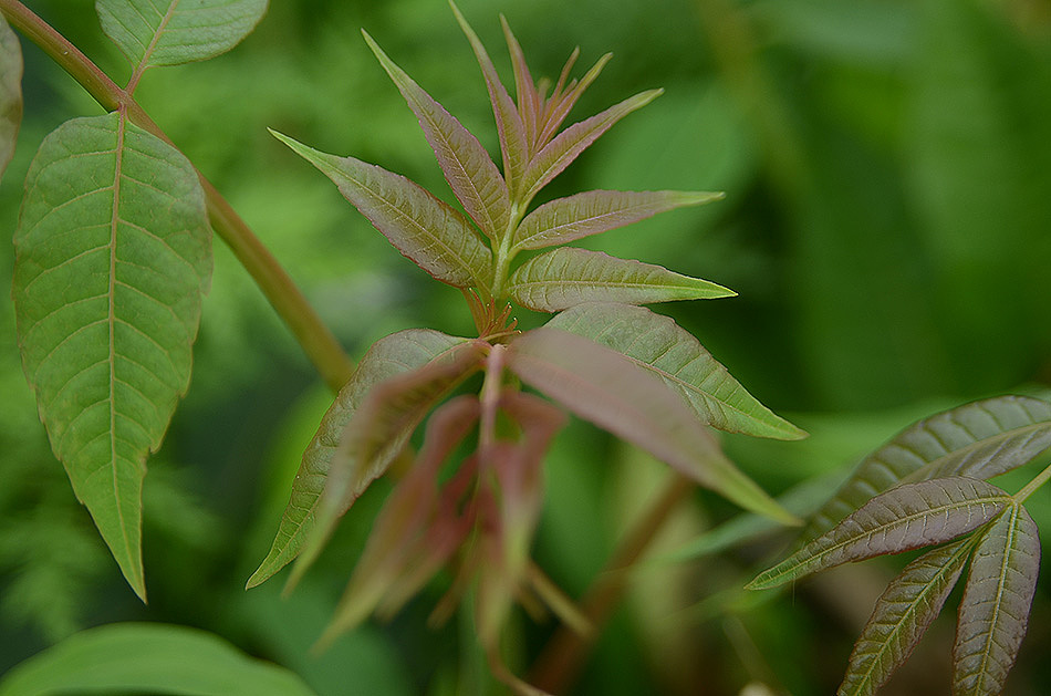 五一农村周边的见闻