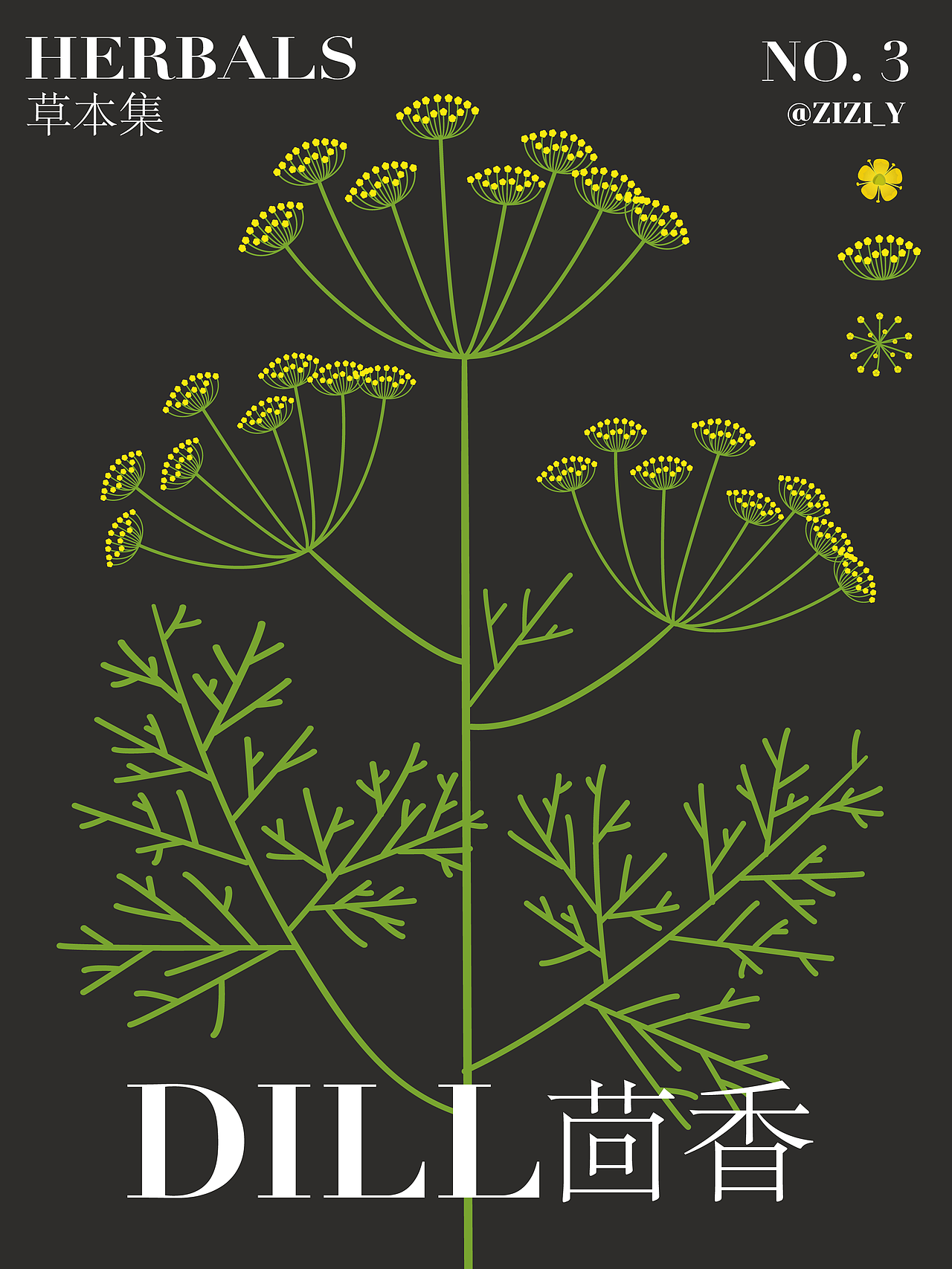 草本植物·草花系列（图ZMzA0NzM0OTky） - 创作习作 - 站酷设计师ZiasPocketDesign原创素材 - 站酷ZCOOL