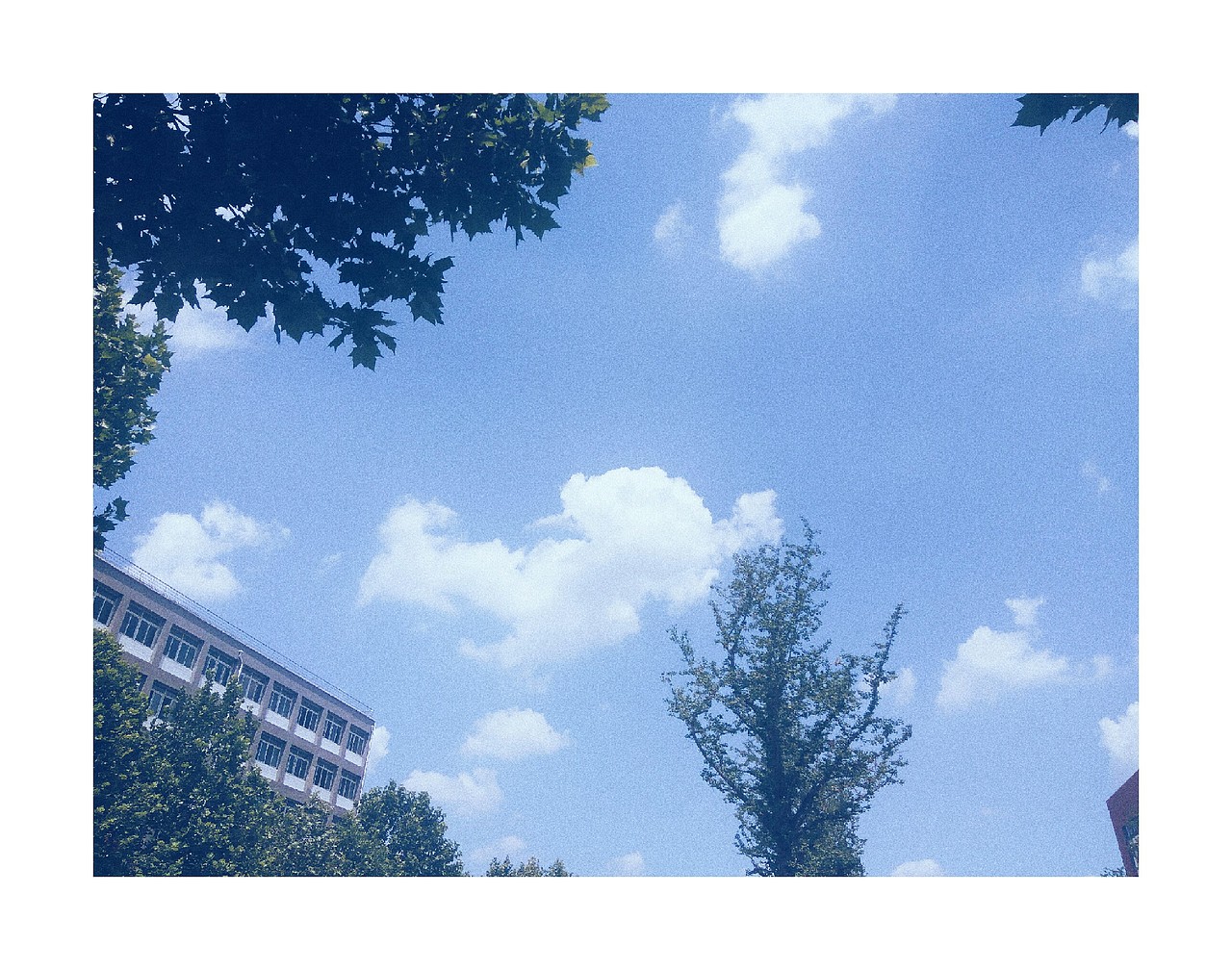 夏（圖ZMTE3NTA3NzYw） - 風(fēng)光攝影 - 站酷設(shè)計(jì)師殺死花期的兇手原創(chuàng)素材 - 站酷ZCOOL