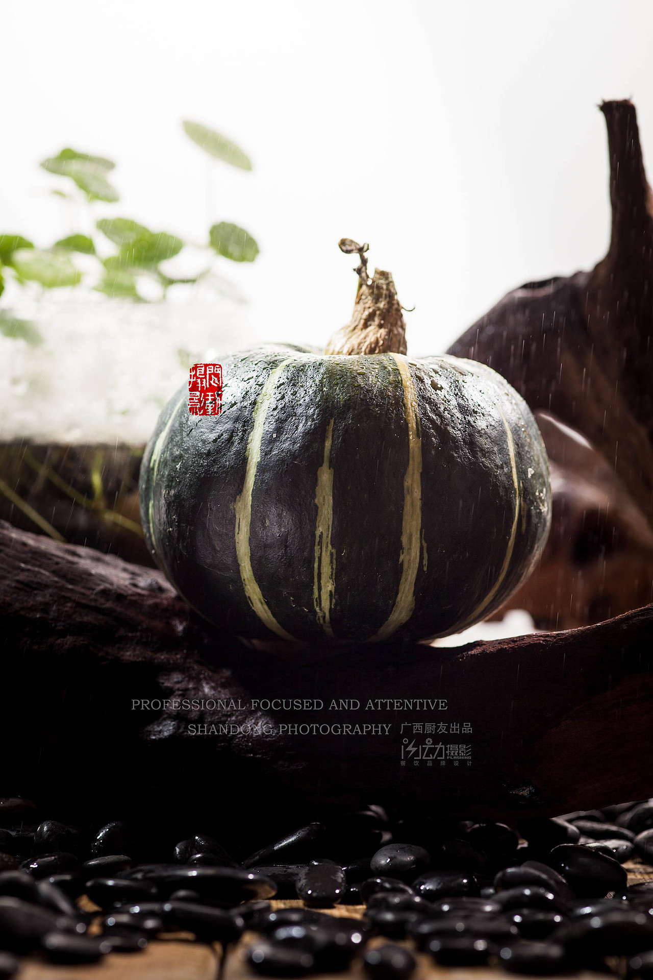 新鲜的新奇特养生食材