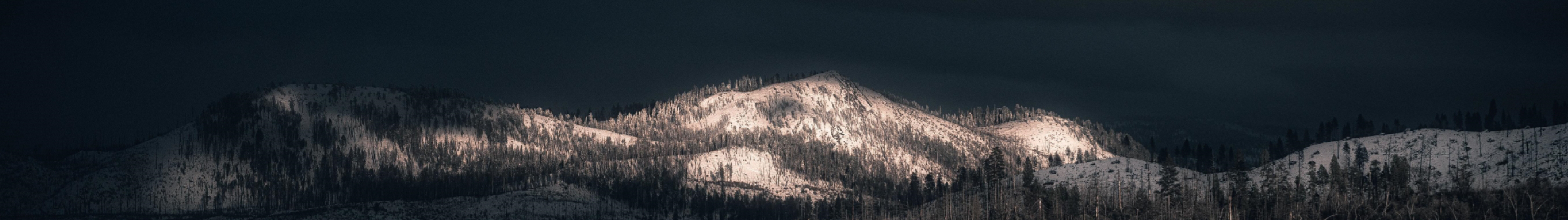 保利的个人主页（封面预览） - 主页封面设置 - 站酷设计师保利原创素材 - 站酷ZCOOL