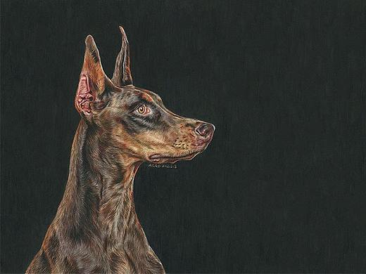 30张汪星人彩铅画-阿沁作品