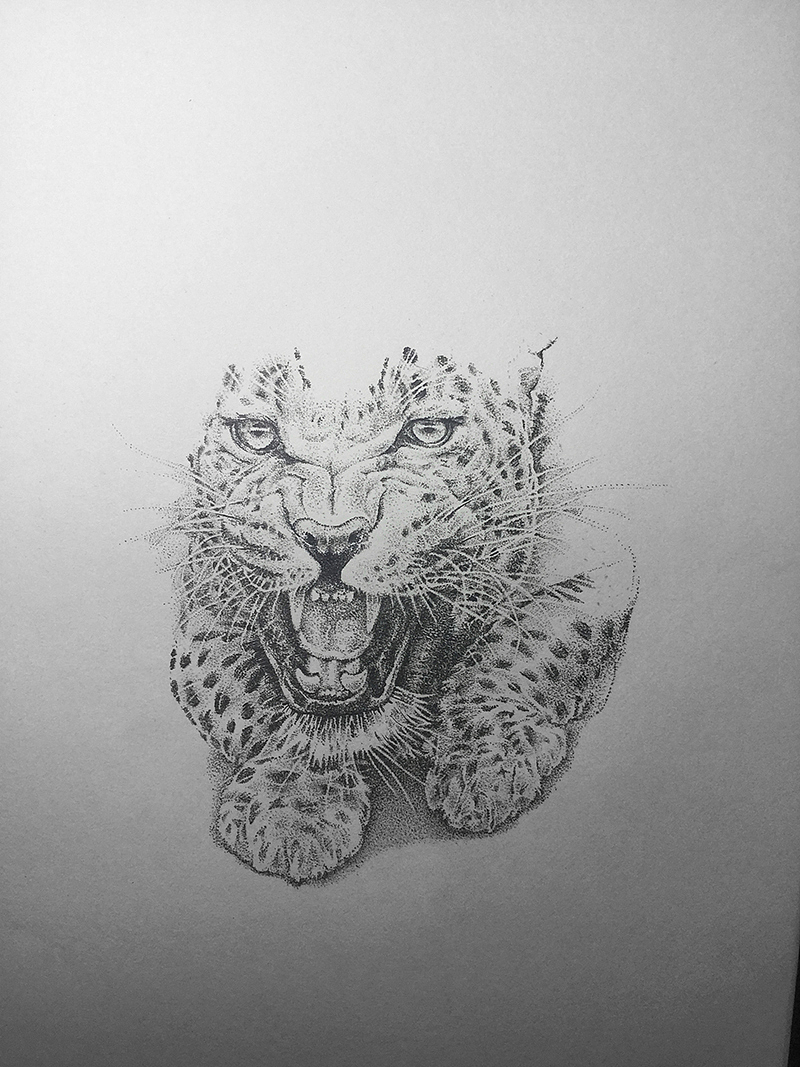 点绘——花豹（图ZMTM5MzE5NDA4） - 绘画 - 站酷设计师烟痛原创素材 - 站酷ZCOOL