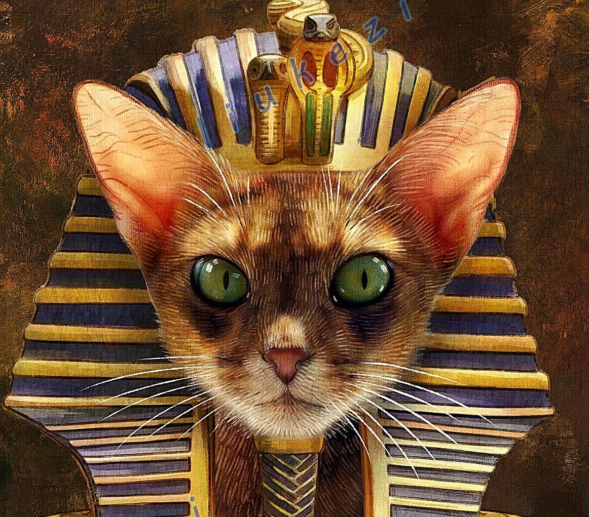 神圣之物"(阿比西尼亚猫)古埃及猫的后裔上海/插画师/2年前/1034浏览