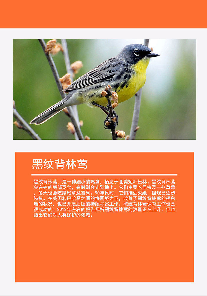 鸟类画册2（图ZMTMzMDg0NzYw） - 书籍/画册 - 站酷设计师浅墨幺幺原创素材 - 站酷ZCOOL