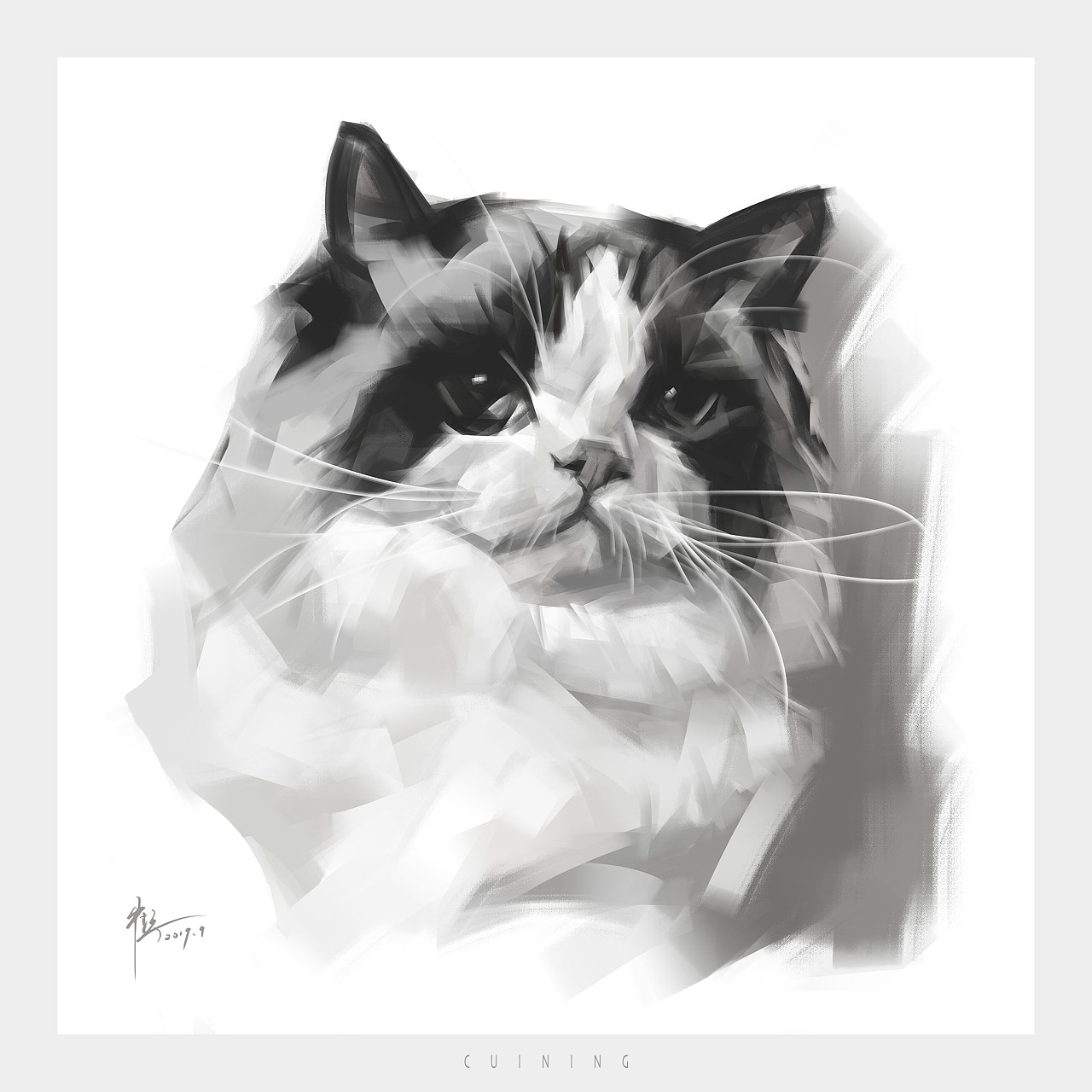 彩铅 素描猫|纯艺术|绘画|paulwade123 - 原创作品 - 站酷 (ZCOOL)