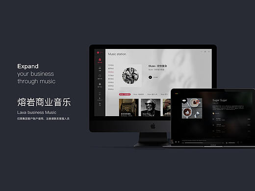 Lava business Music-Pc客户端（个人主页-ZMzM1OTEyNzY=） - 软件界面 - 站酷设计师Change_浮世辰原创素材 - 站酷ZCOOL
