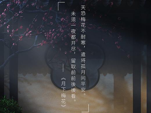 月下梅花C4D