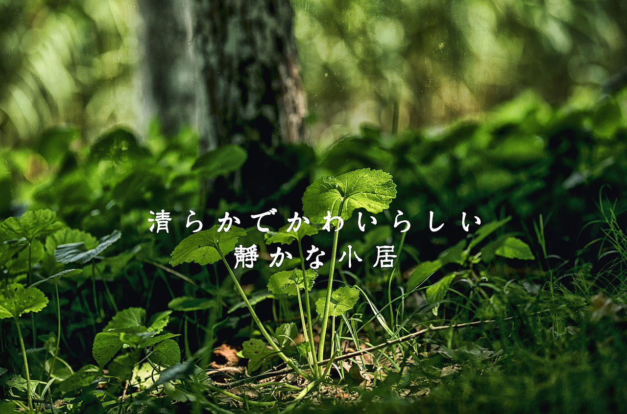 荷园随拍 哼哼小居