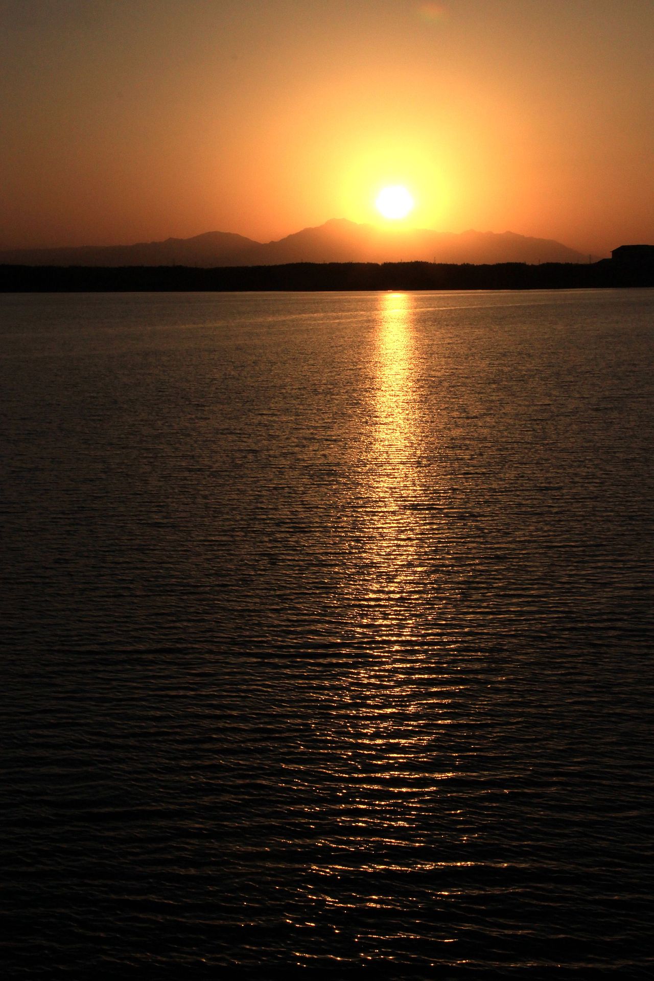 乐视你的手机背景墙