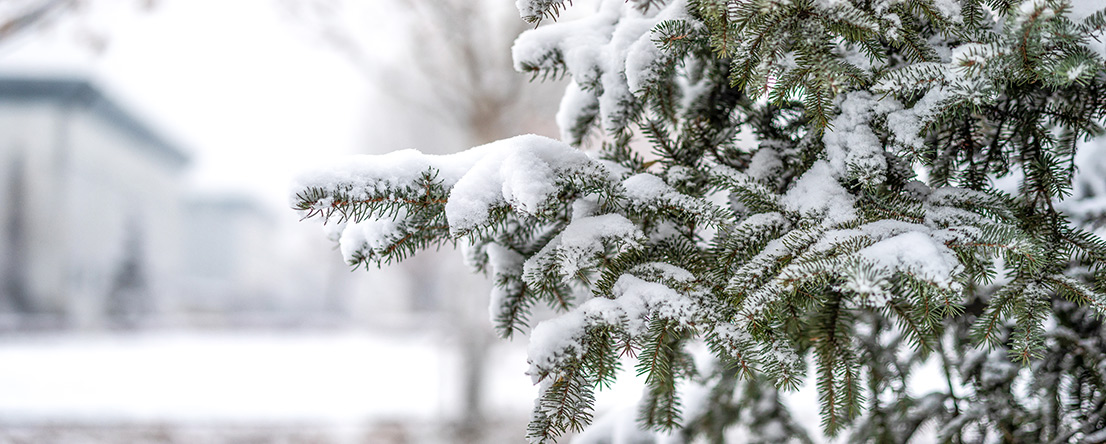 建筑攝影王志遠(yuǎn)的個(gè)人主頁(yè)（封面預(yù)覽） - 主頁(yè)封面設(shè)置 - 站酷設(shè)計(jì)師建筑攝影王志遠(yuǎn)原創(chuàng)素材 - 站酷ZCOOL