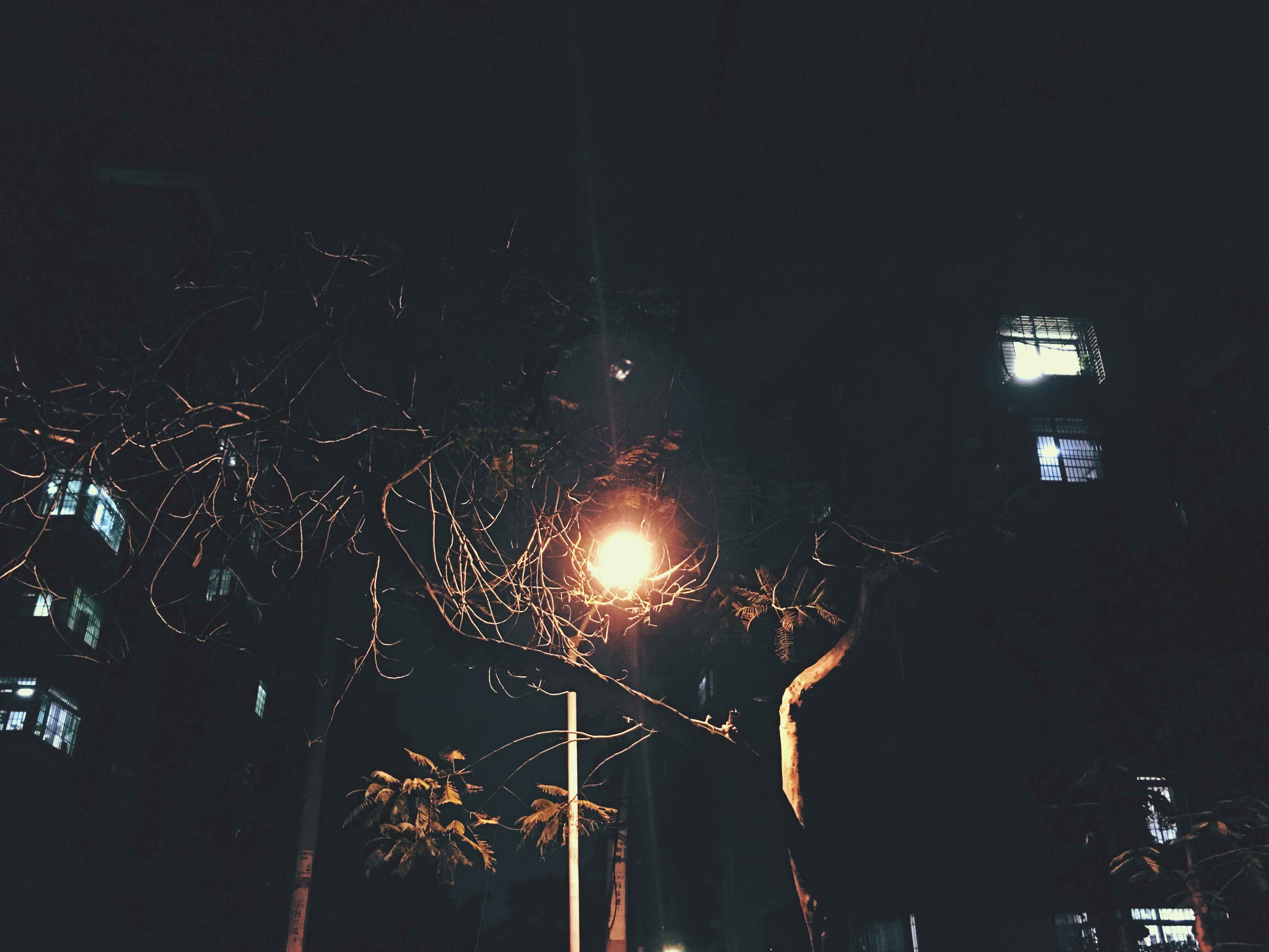 良庸的个人主页（背景预览） - 主页背景设置 - 站酷设计师良庸原创素材 - 站酷ZCOOL