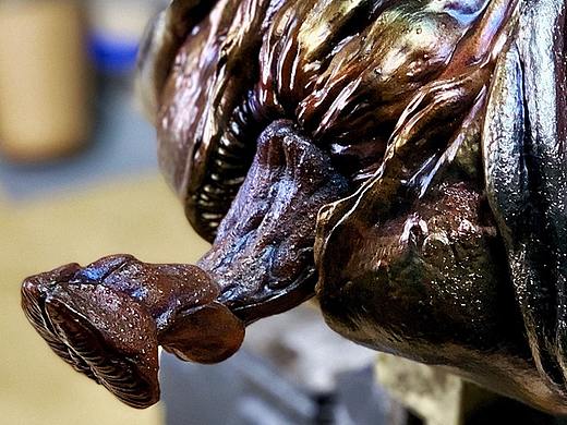 可能是你见过的最大一只——绿巨...EMMM