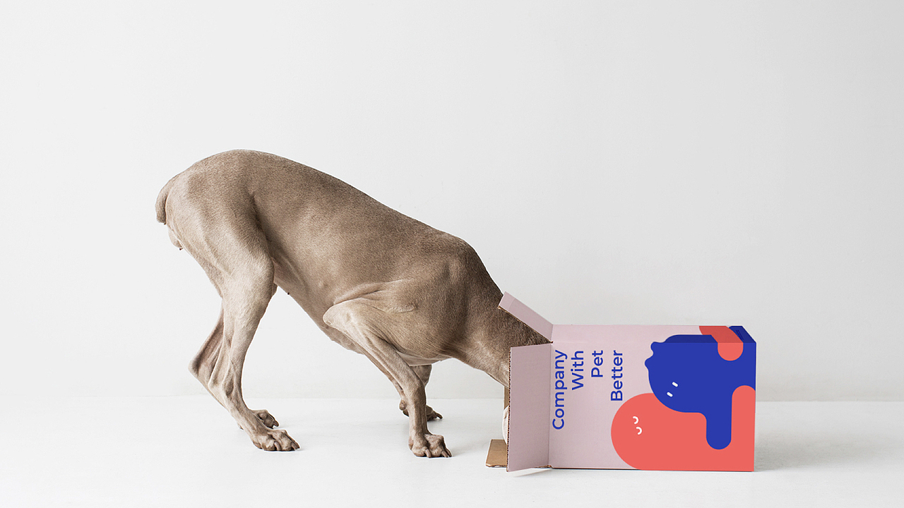 【原创】Petbetter宠物品牌vi设计案例(图ZMjc3MDEwODAw) - 品牌 - 站酷设计师TalkingBrand原创素材 - 站酷ZCOOL
