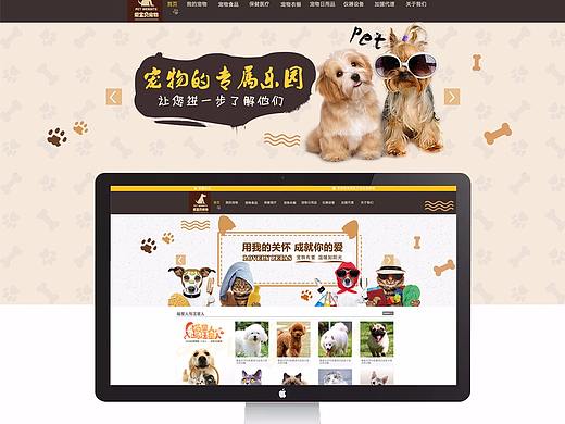 宠物网站页面
