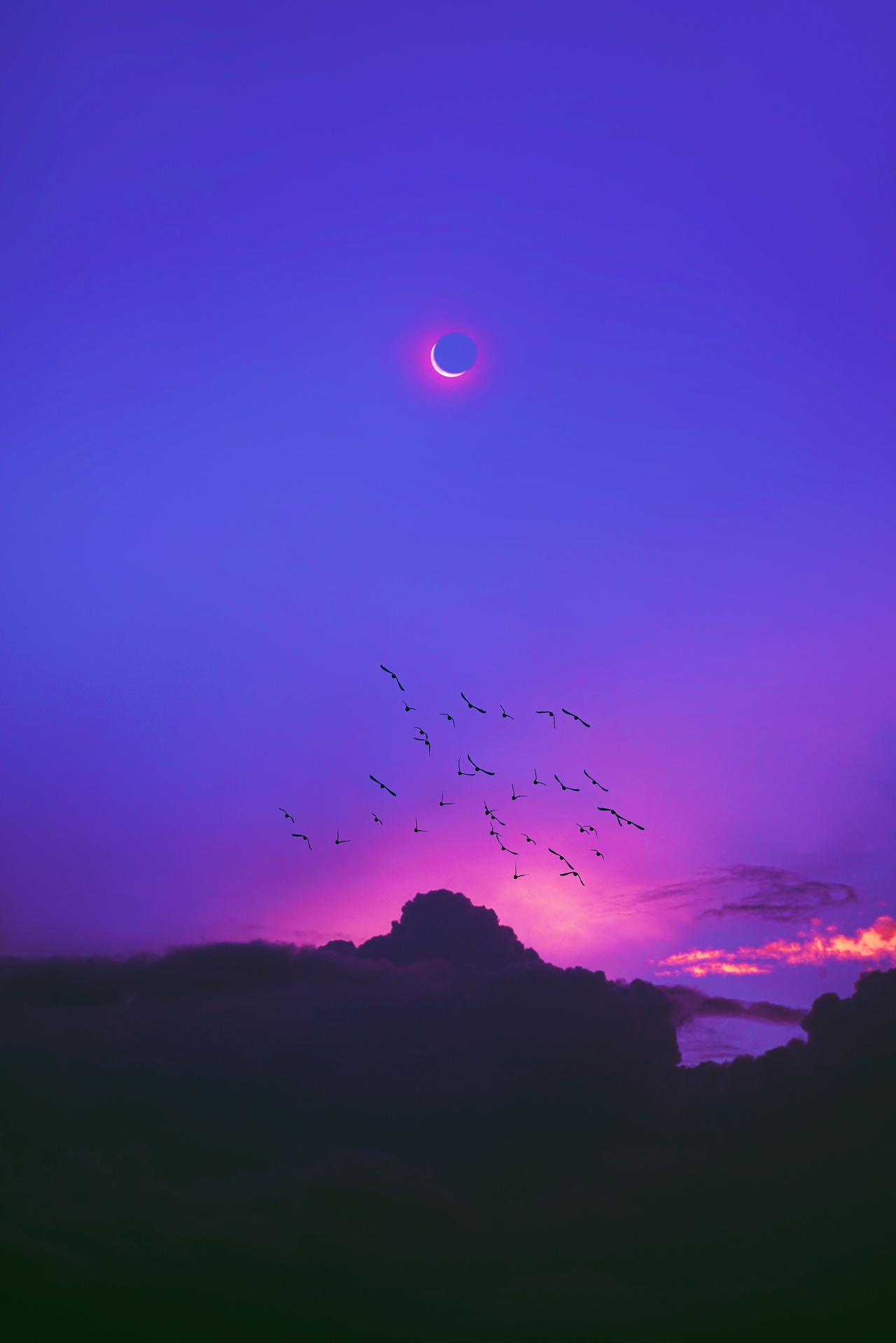 星月图|摄影|其他摄影|clouinkim - 原创作品 - 站酷 (zcool)