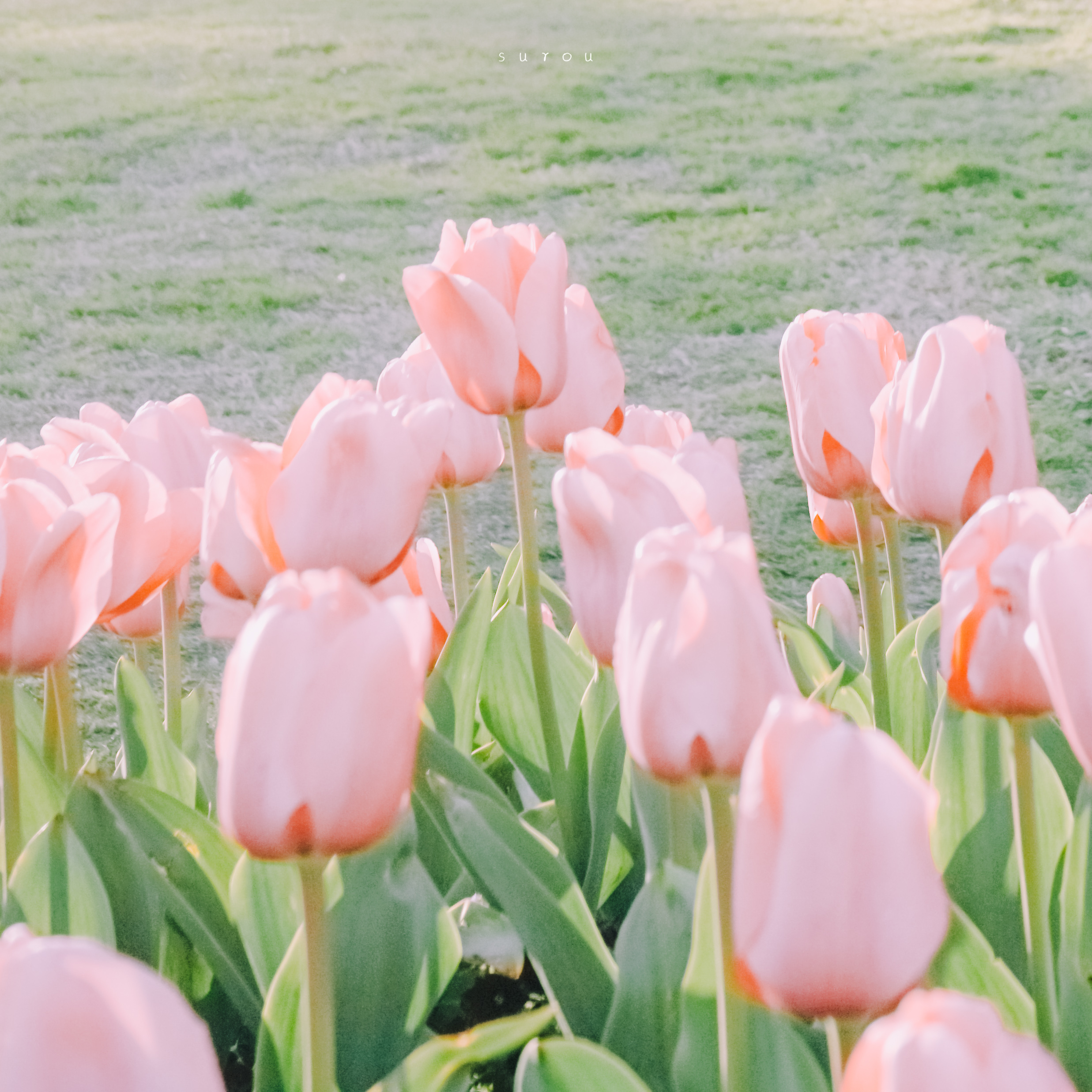 Moonstone_的個人主頁（封面預(yù)覽） - 主頁封面設(shè)置 - 站酷設(shè)計師Moonstone_原創(chuàng)素材 - 站酷ZCOOL