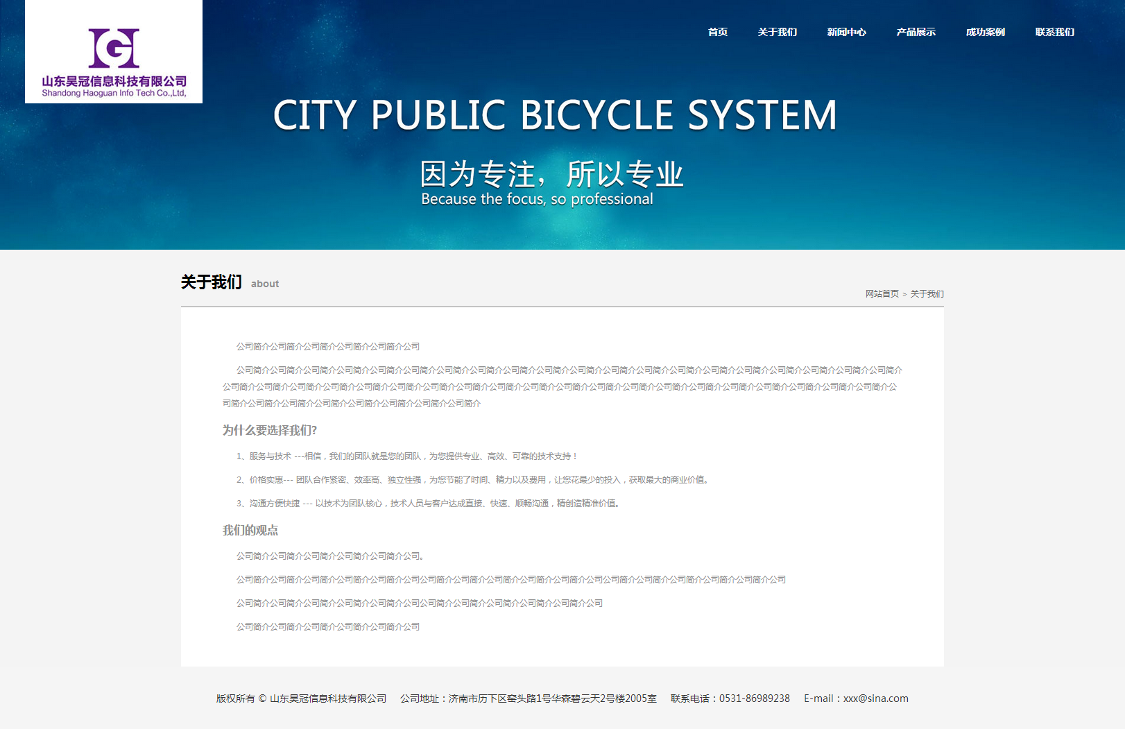 企业网站