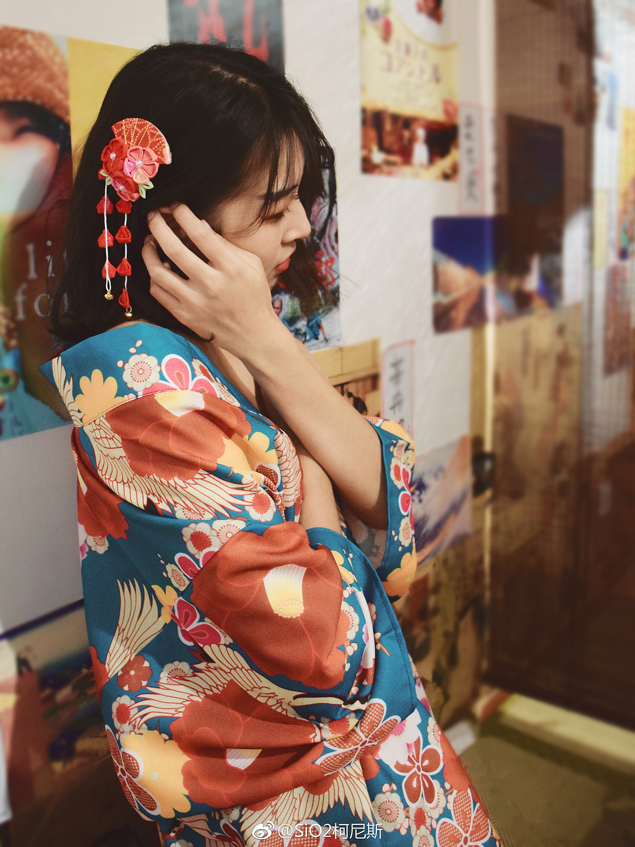 【9月の菊和璧】