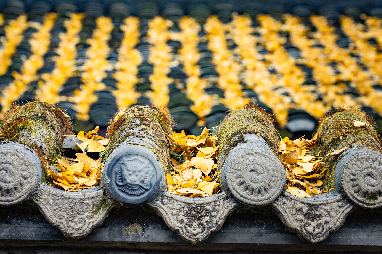 成都崇州罨画池