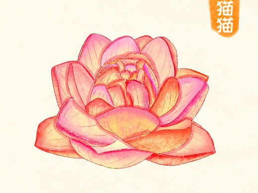 iPad插画/花卉
