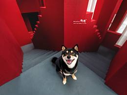 这不是Ai，是摄影。