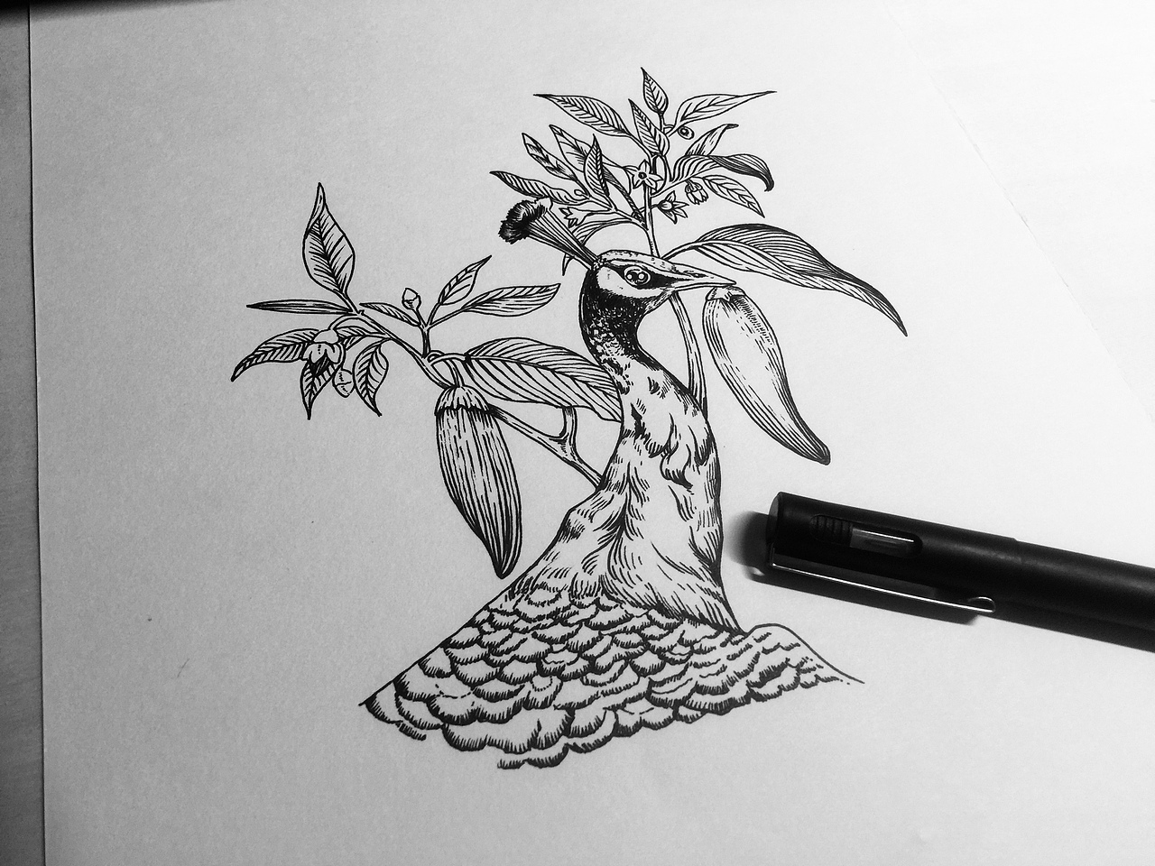 老厨娘小罐酱包装设计（图ZMTgxMjQ0MzYw） - 品牌 - 站酷设计师插画师崔萌萌原创素材 - 站酷ZCOOL