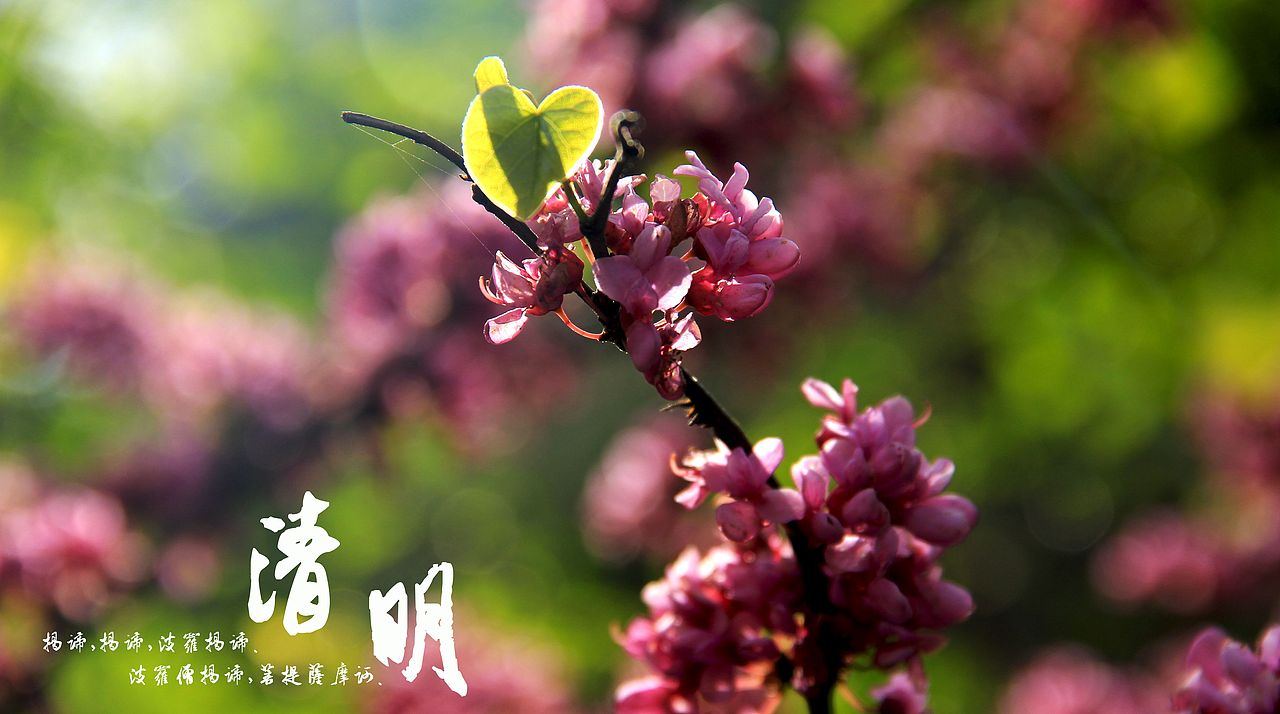 大桥下的石头（图ZODkzMzgzNg==） - 风光摄影 - 站酷设计师半道子原创素材 - 站酷ZCOOL