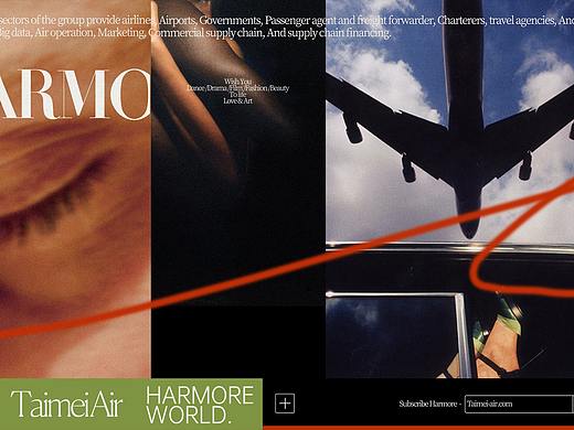 2.品牌理念/设计灵感|太美航空VI系统