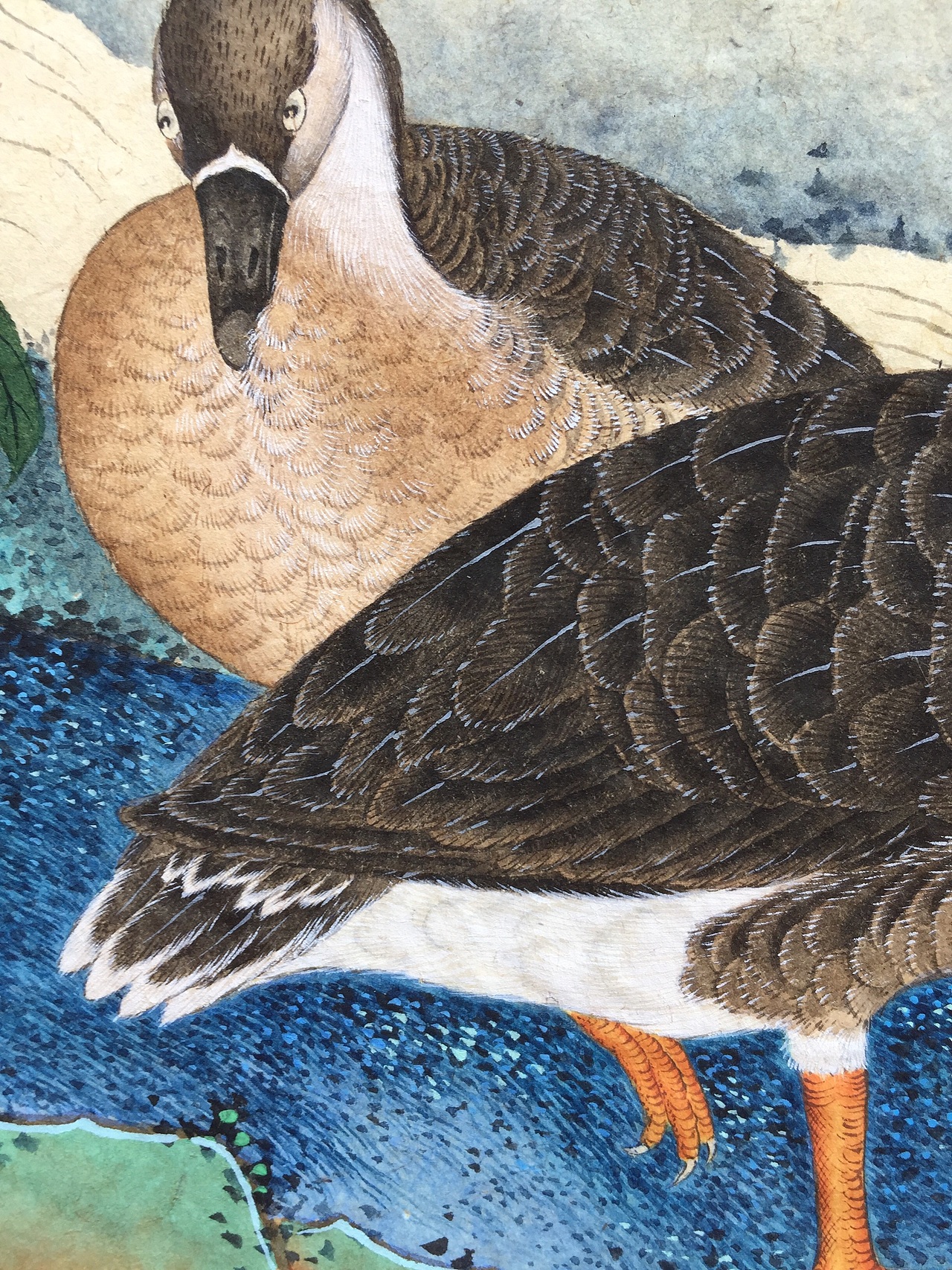 藏君绘《十钗声》工笔重彩花鸟