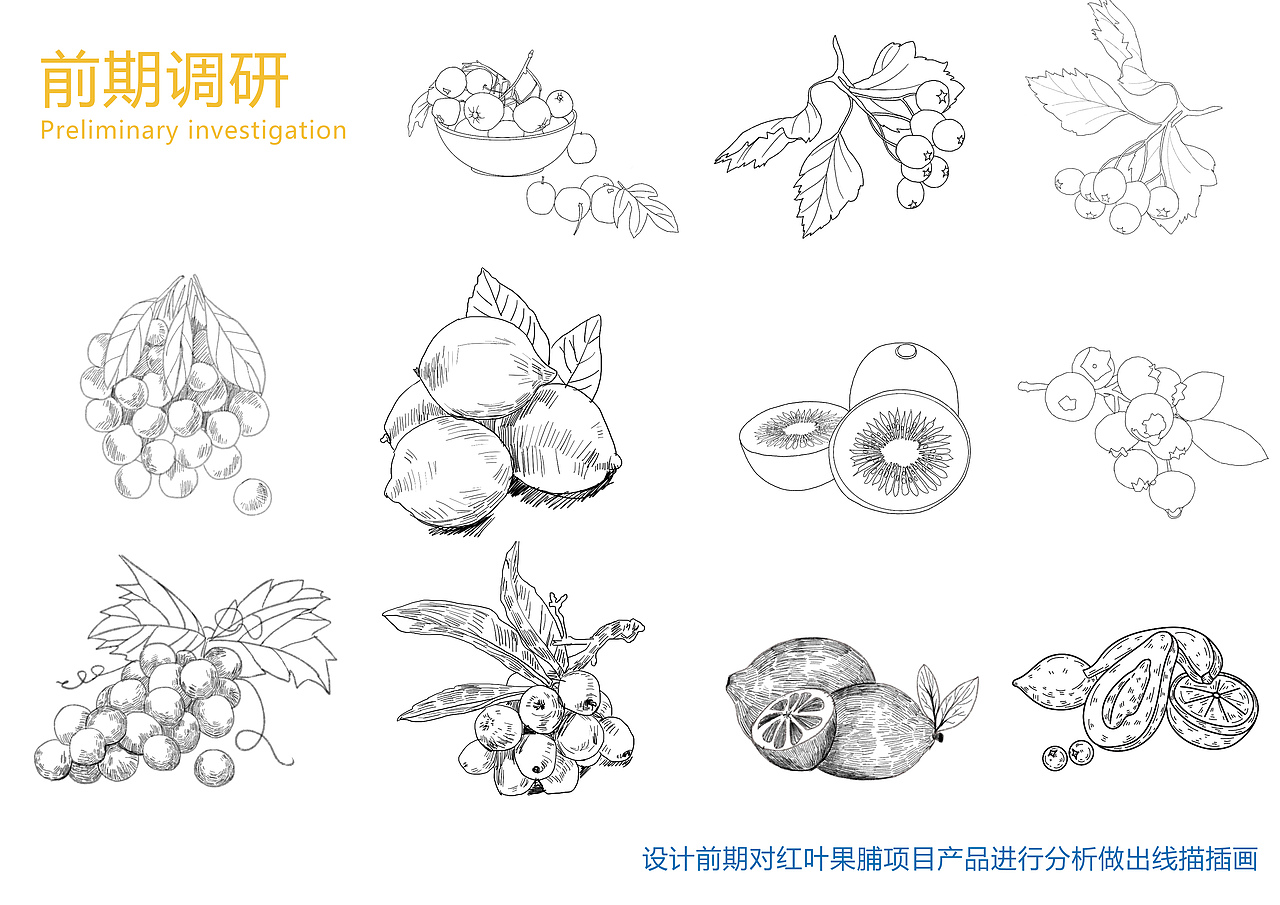 HONGYE果脯视觉提升