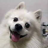 是小咪呀的头像